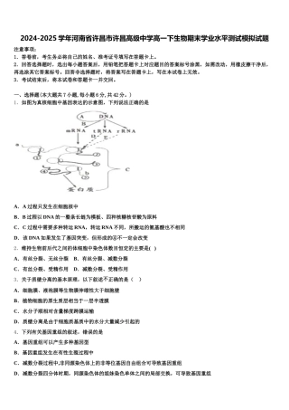 2024-2025学年河南省许昌市许昌高级中学高一下生物期末学业水平测试模拟试题含解析