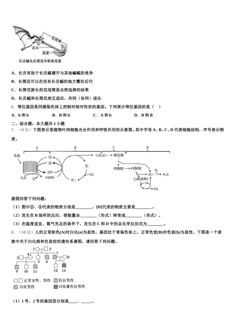 河南省第二实验中学2025届生物高一下期末考试模拟试题含解析_第2页
