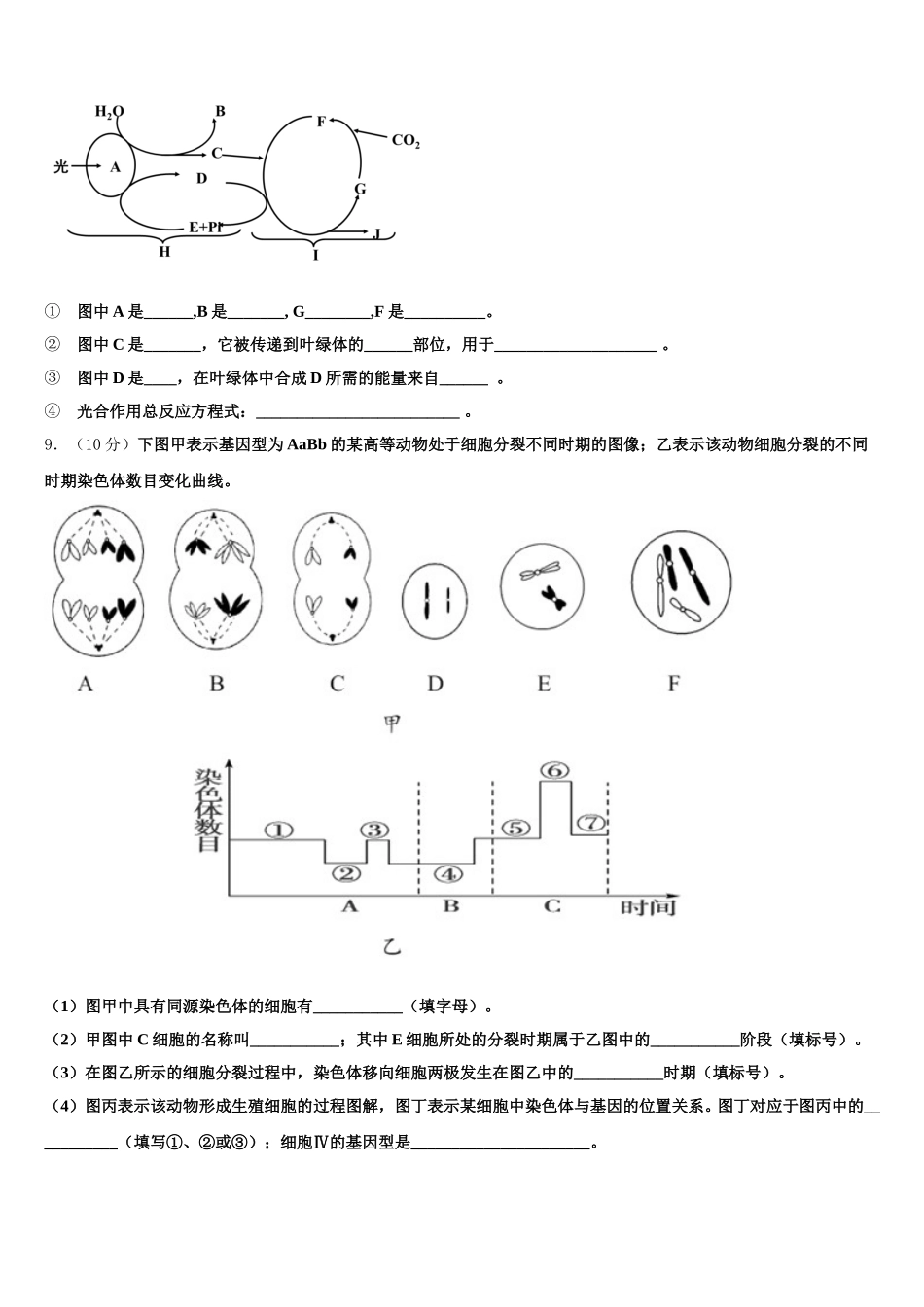2025届河南省南阳一中生物高一第二学期期末预测试题含解析_第3页