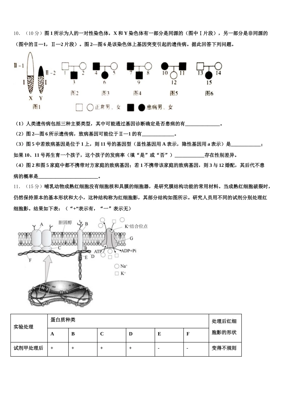 河南省濮阳市2025届高一下生物期末学业质量监测试题含解析_第3页