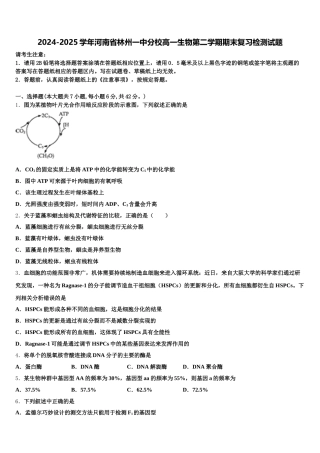 2024-2025学年河南省林州一中分校高一生物第二学期期末复习检测试题含解析