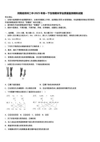 河南省郑州二中2025年高一下生物期末学业质量监测模拟试题含解析
