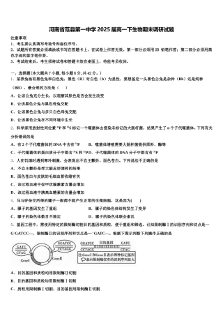 河南省范县第一中学2025届高一下生物期末调研试题含解析