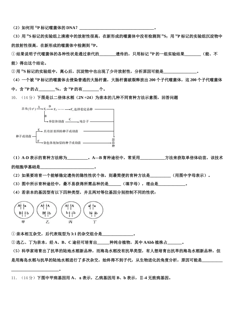 2025年河南省安阳市第二中学生物高一下期末经典试题含解析_第3页
