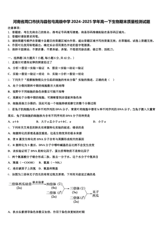 河南省周口市扶沟县包屯高级中学2024-2025学年高一下生物期末质量检测试题含解析