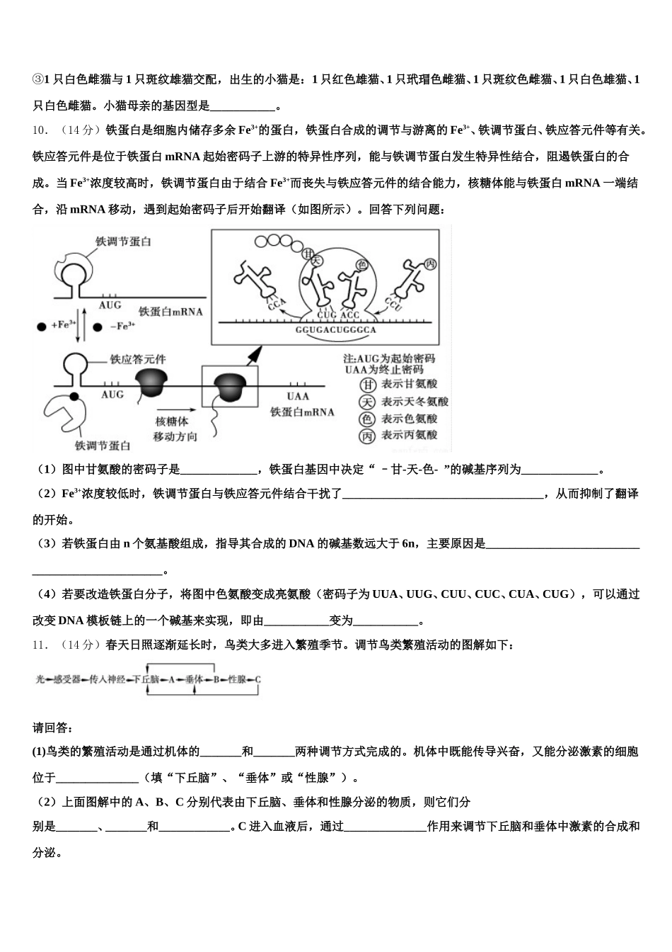 郑州市重点中学2024-2025学年生物高一下期末调研模拟试题含解析_第3页