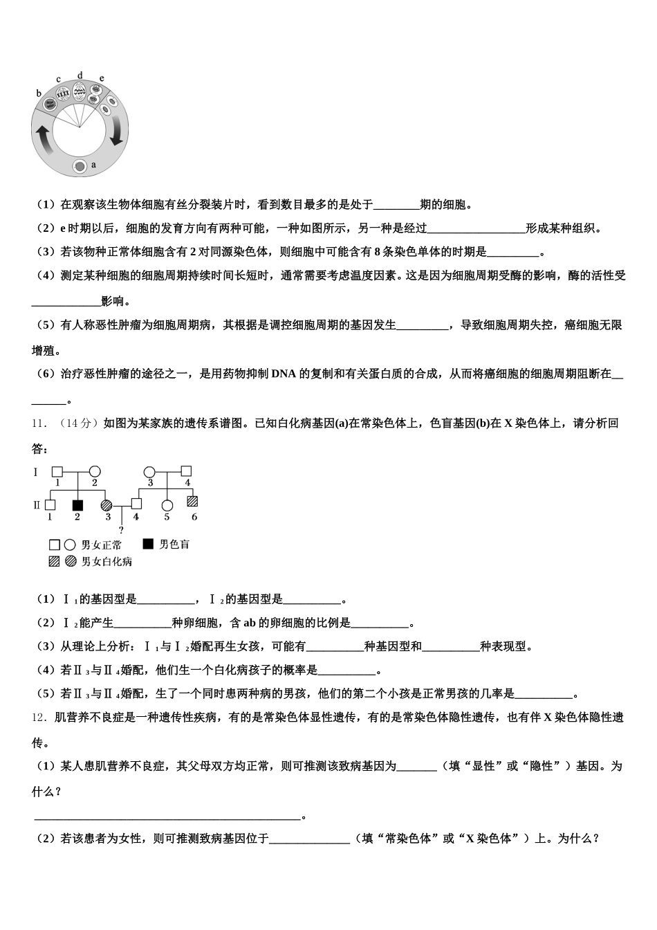 2025届河南省辉县市第一高级中学生物高一下期末经典模拟试题含解析_第3页