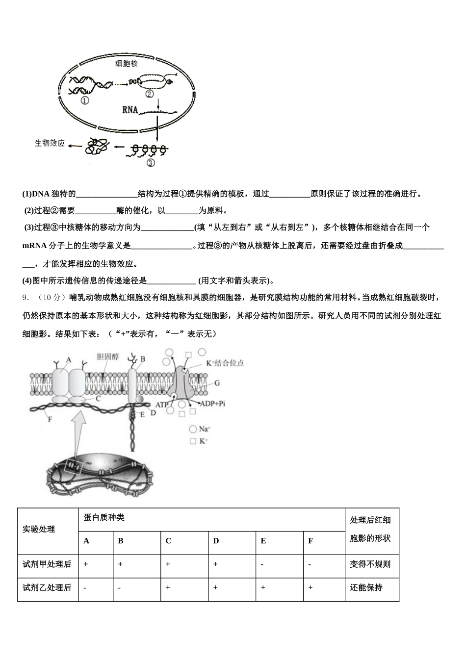 河南省驻马店2025届高一生物第二学期期末统考试题含解析_第3页