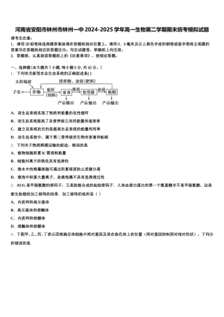 河南省安阳市林州市林州一中2024-2025学年高一生物第二学期期末统考模拟试题含解析