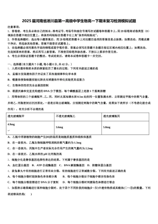 2025届河南省淅川县第一高级中学生物高一下期末复习检测模拟试题含解析