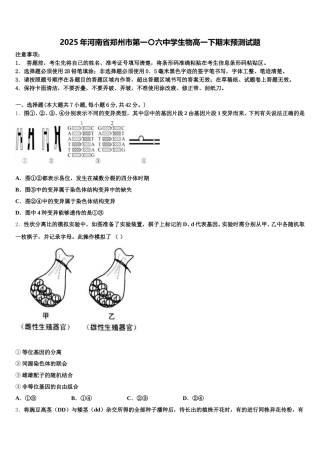 2025年河南省郑州市第一〇六中学生物高一下期末预测试题含解析