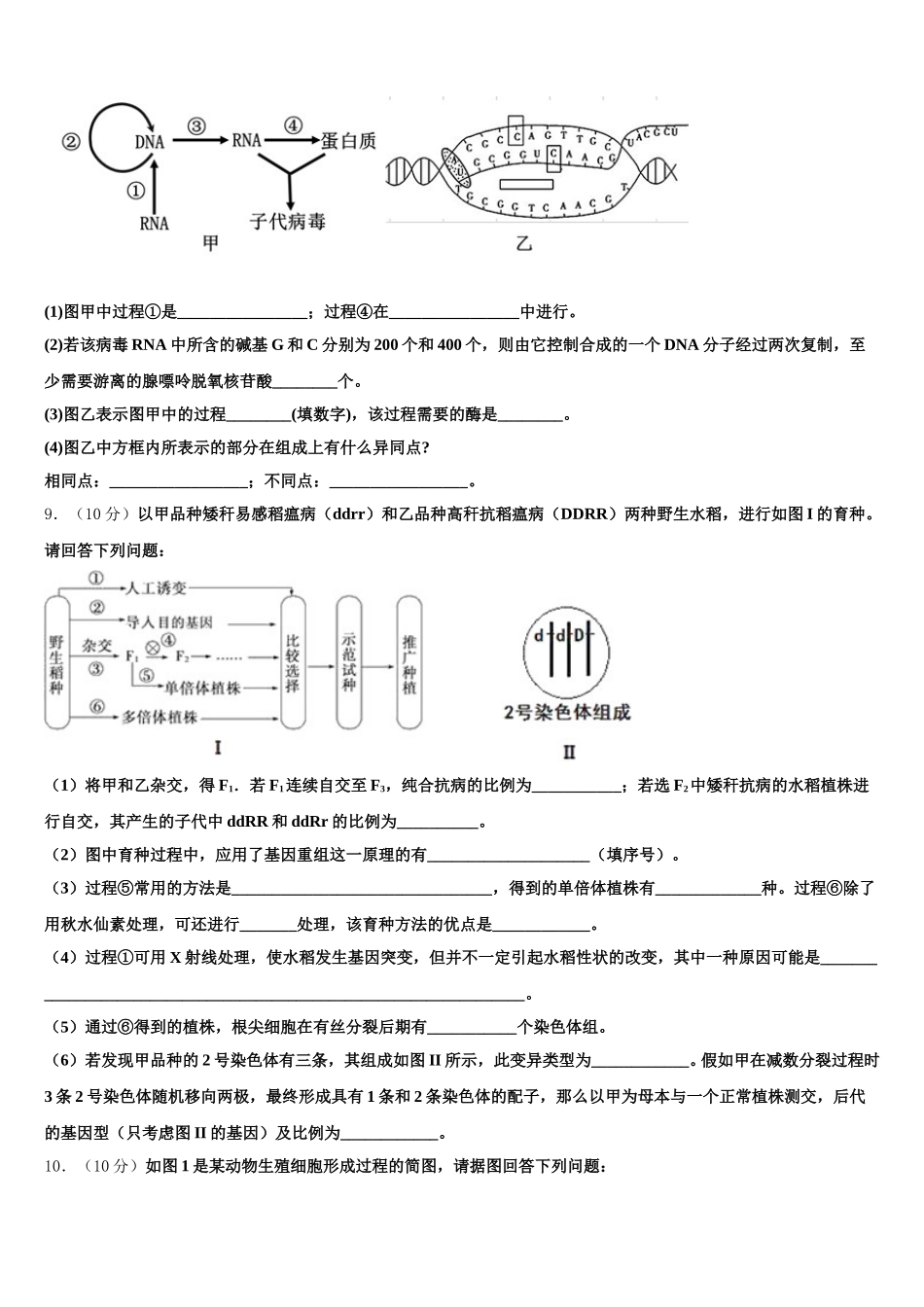 河南省襄城高中2025届高一生物第二学期期末统考试题含解析_第3页