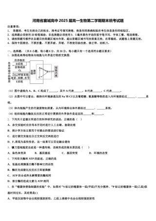 河南省襄城高中2025届高一生物第二学期期末统考试题含解析
