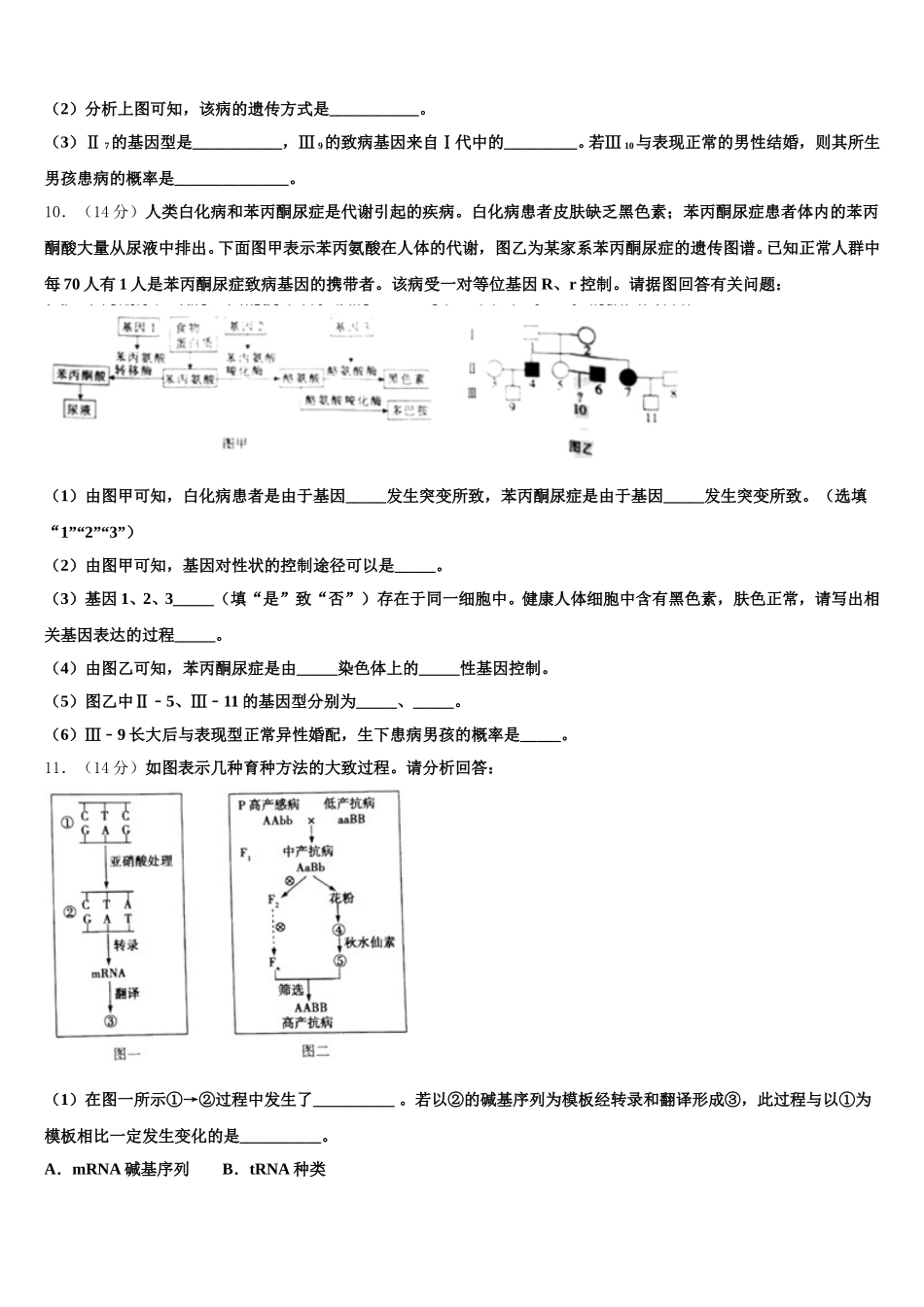 河南省安阳市林州市林滤中学2024-2025学年高一下生物期末质量检测模拟试题含解析_第3页
