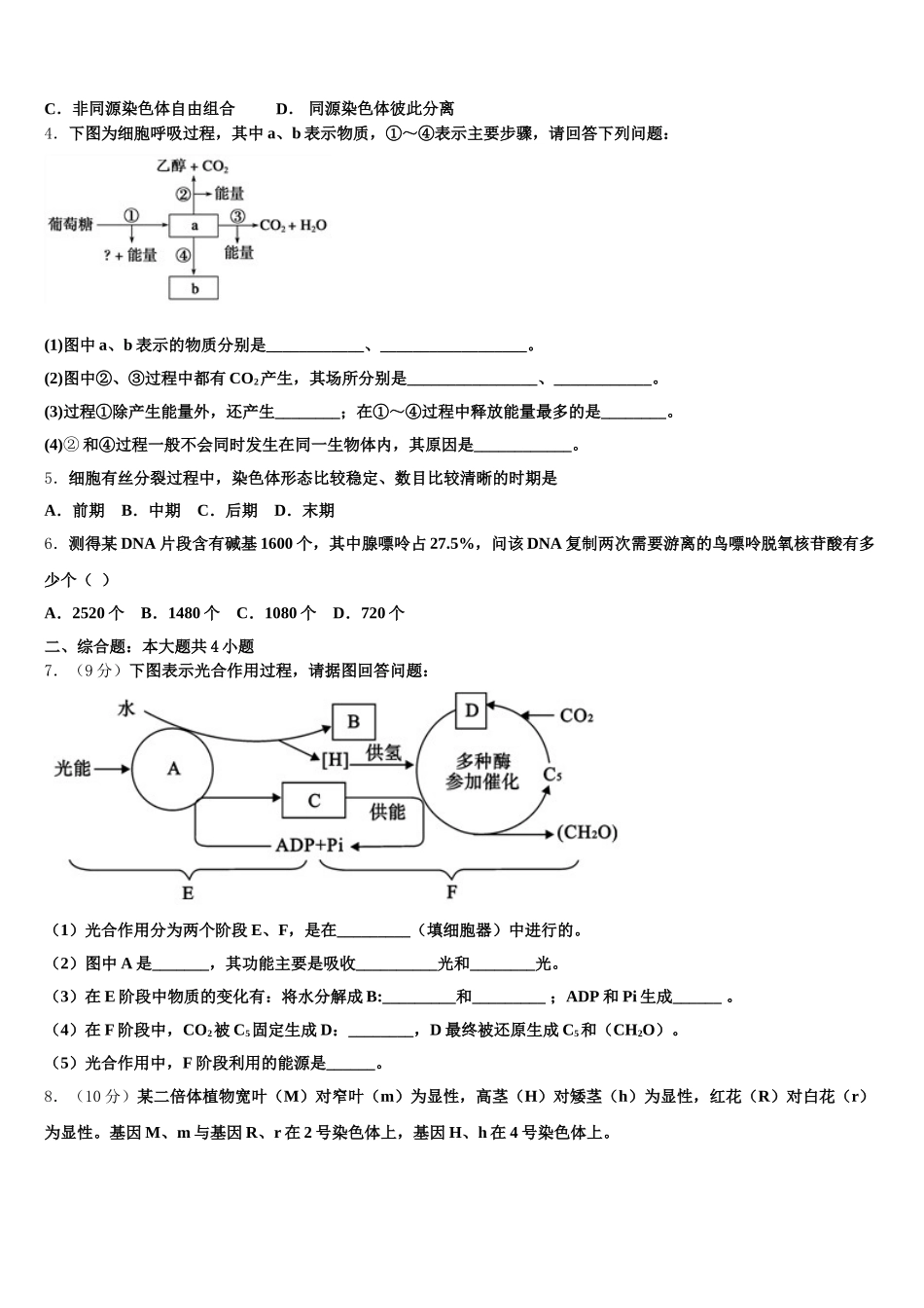 2025届河南濮阳建业国际学校生物高一下期末质量检测试题含解析_第2页
