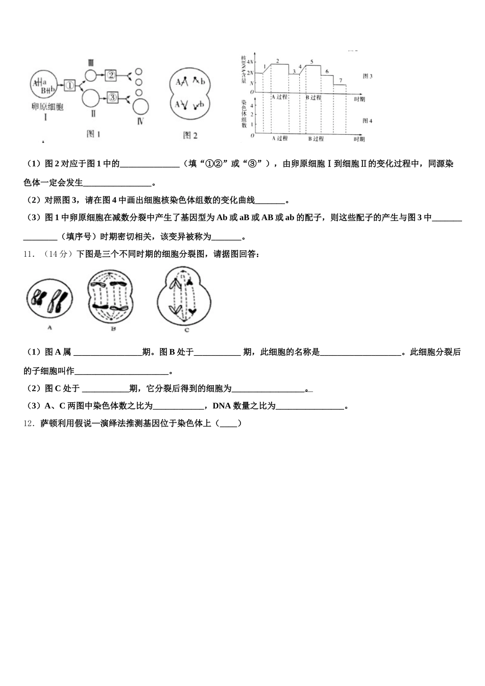 河南省汤阴县第一中学2025届高一下生物期末复习检测模拟试题含解析_第3页