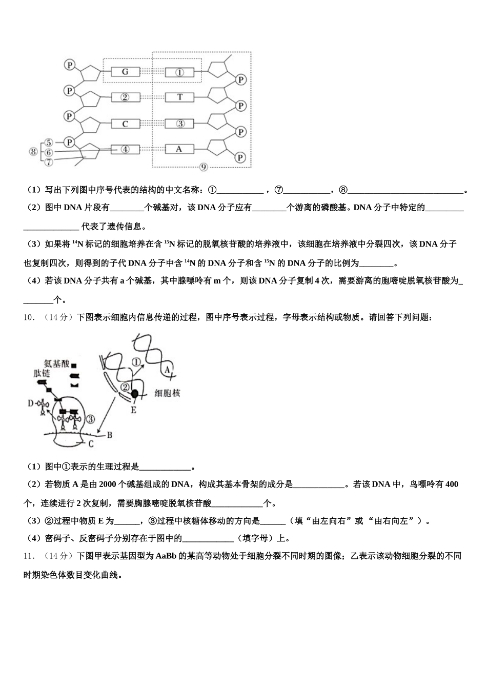 2025届河南省罗山县高级中学老校区生物高一下期末达标检测模拟试题含解析_第3页
