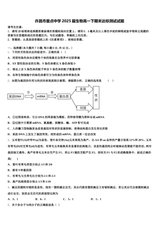 许昌市重点中学2025届生物高一下期末达标测试试题含解析