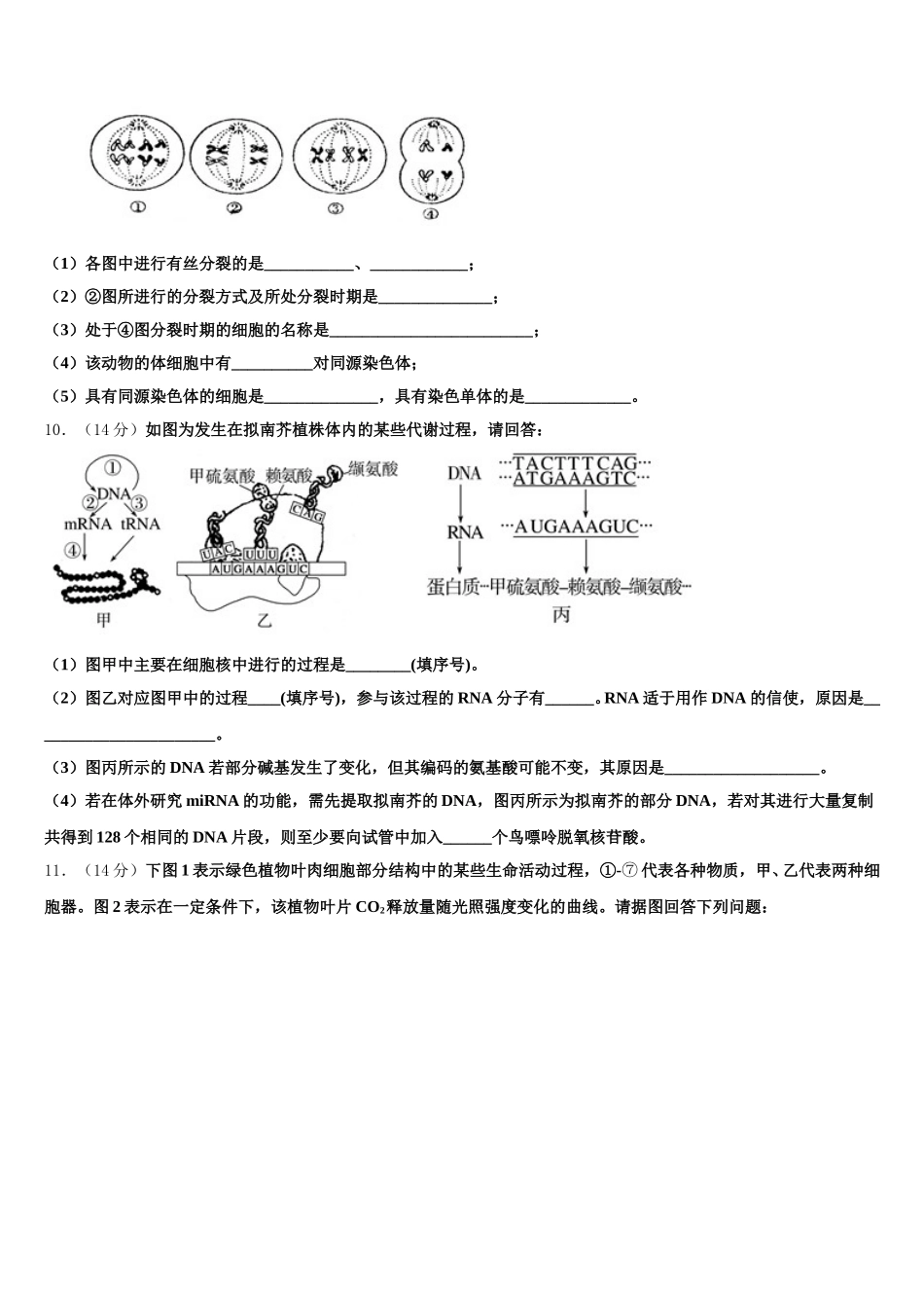 2025年河南省兰考县第一高级中学高一下生物期末教学质量检测模拟试题含解析_第3页