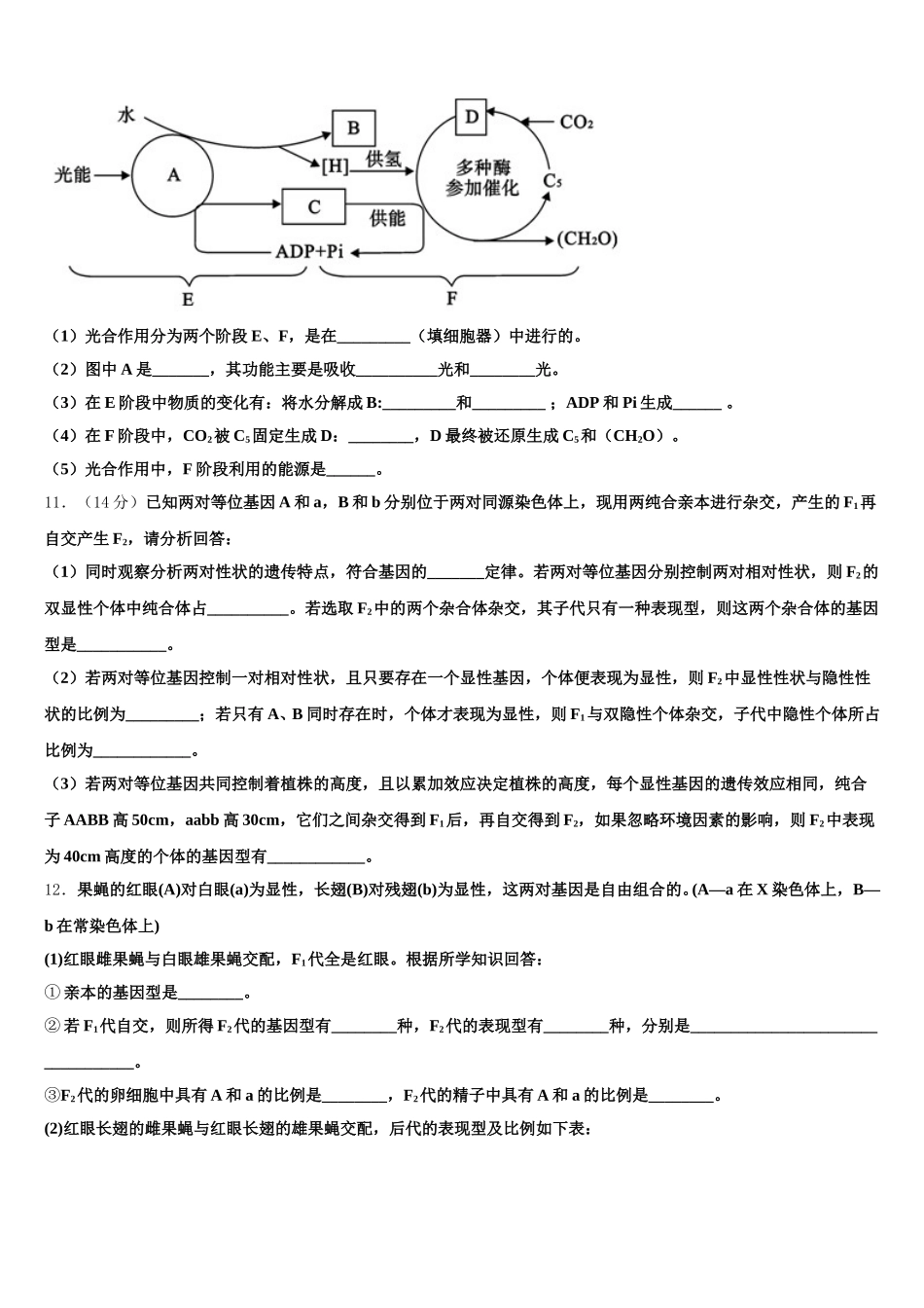 2025年河南省新乡市第一中学高一下生物期末达标检测试题含解析_第3页