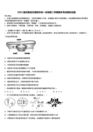 2025届河南省济源四中高一生物第二学期期末考试模拟试题含解析