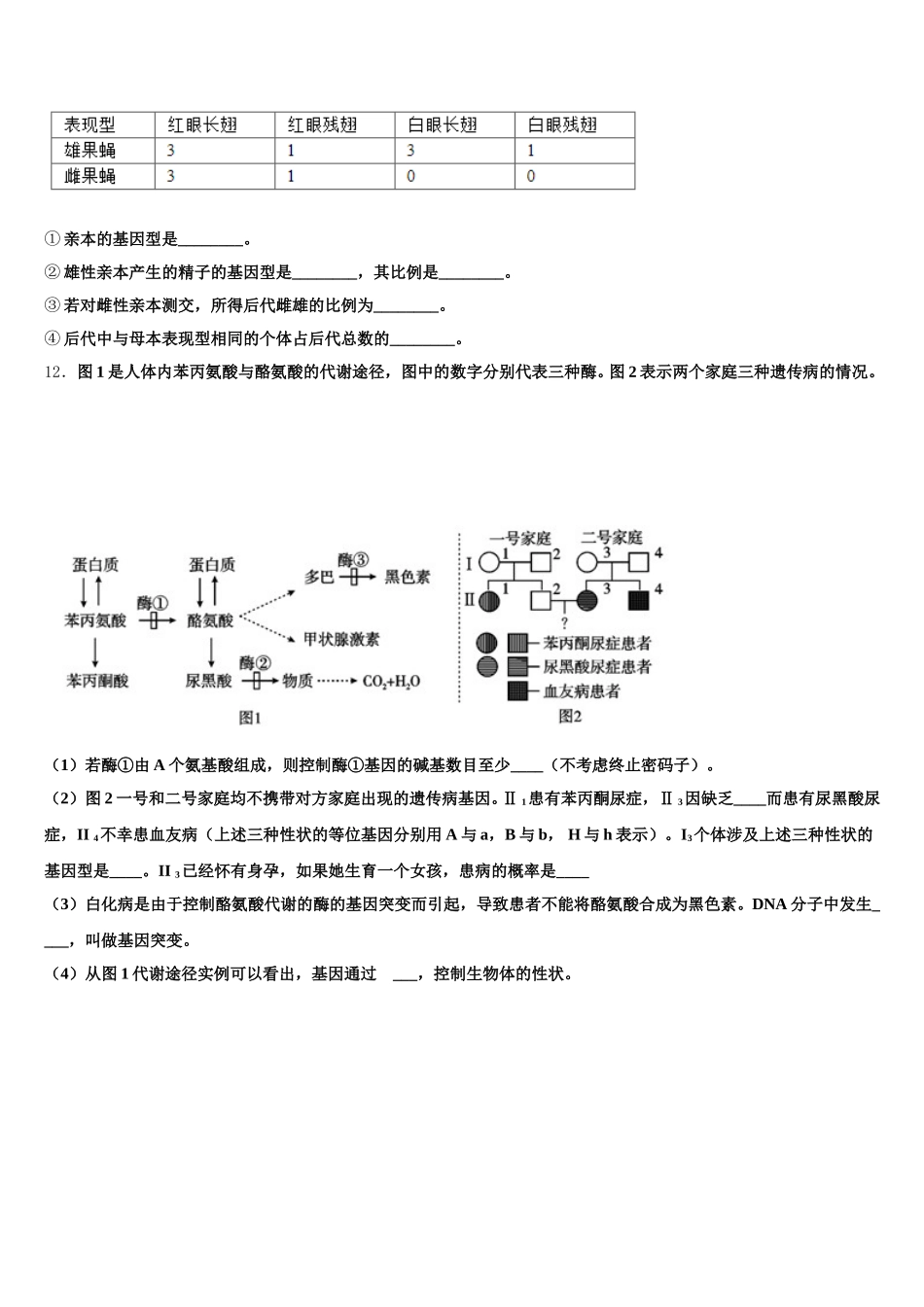 2025年河南省新乡市新乡县第一中学高一下生物期末教学质量检测模拟试题含解析_第3页