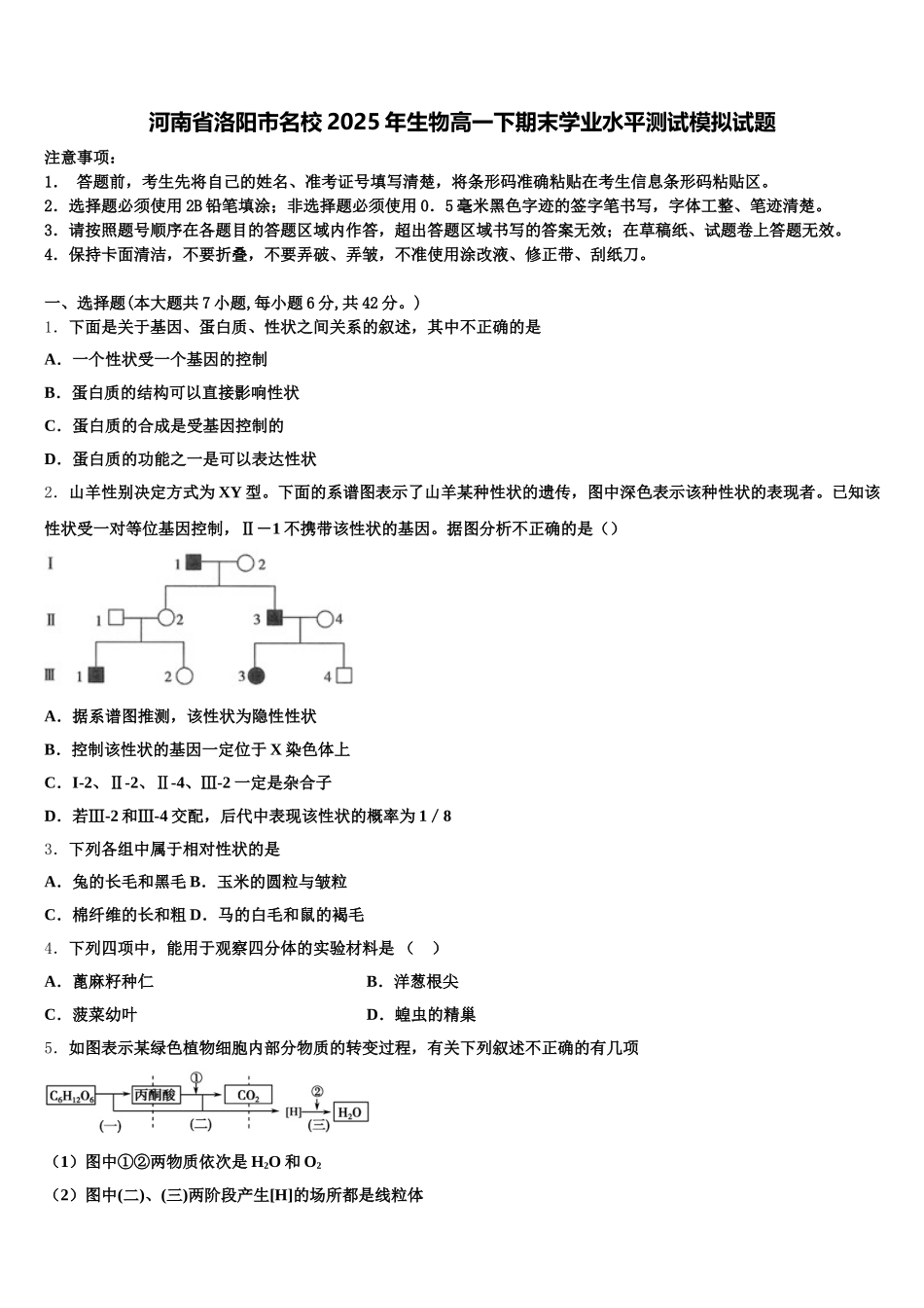 河南省洛阳市名校2025年生物高一下期末学业水平测试模拟试题含解析_第1页