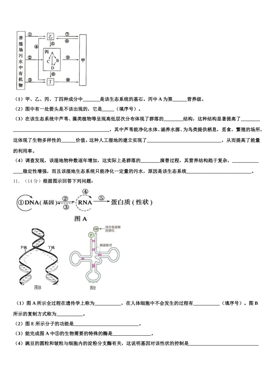 河南省三门峡市陕州区第一高级中学2025年高一生物第二学期期末经典模拟试题含解析_第3页