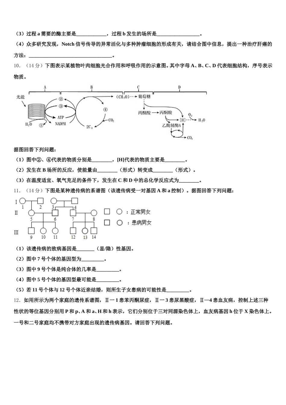 2025届河南省洛阳市新安县第一高级中学高一下生物期末综合测试试题含解析_第3页