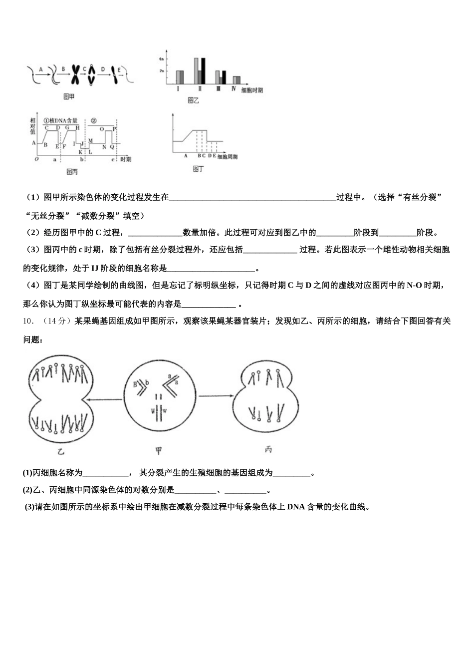 2025年郑州外国语学校高一下生物期末学业水平测试试题含解析_第3页