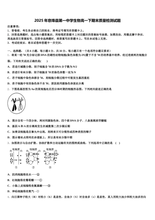 2025年息烽县第一中学生物高一下期末质量检测试题含解析