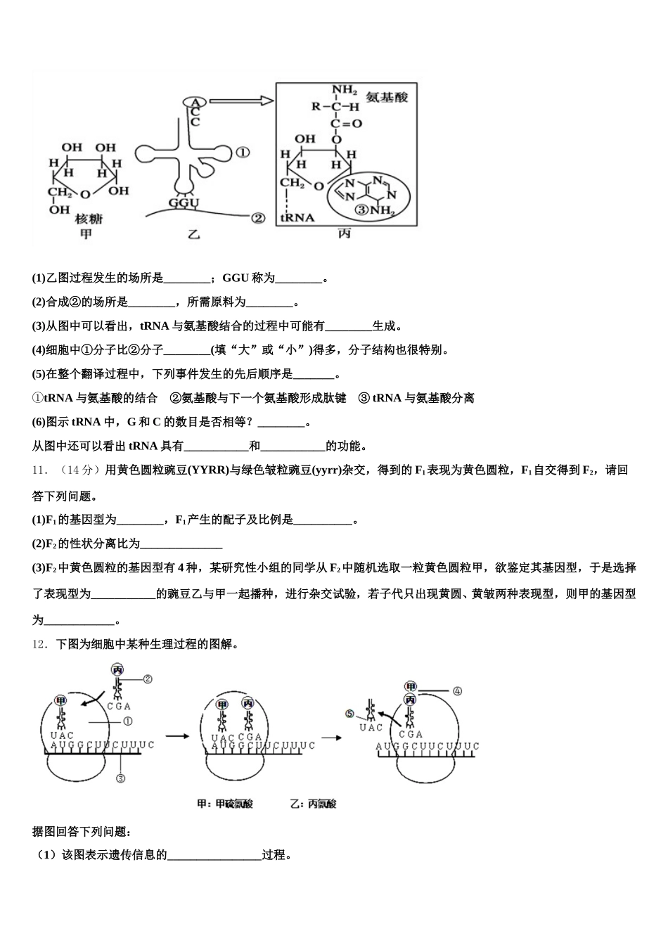 重庆第二外国语学校高2025年生物高一下期末检测试题含解析_第3页