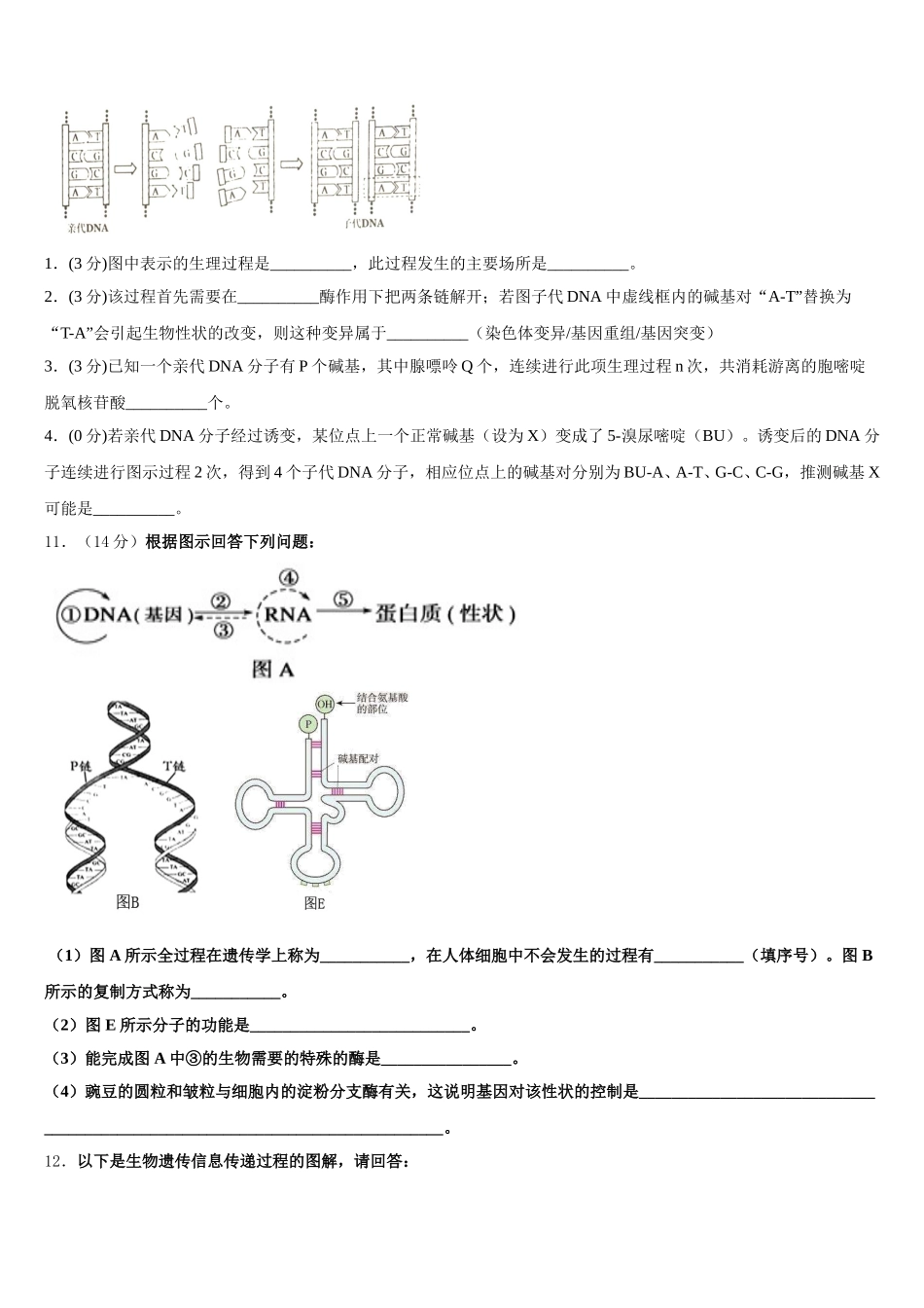 2025年重庆市第十一中学校生物高一下期末综合测试试题含解析_第3页