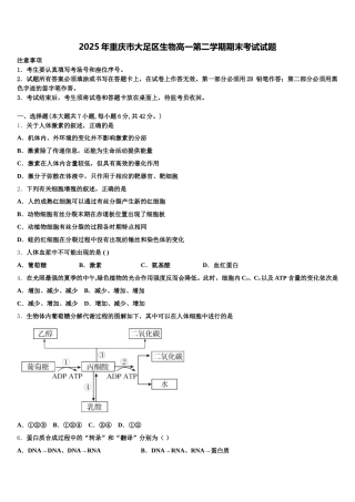 2025年重庆市大足区生物高一第二学期期末考试试题含解析