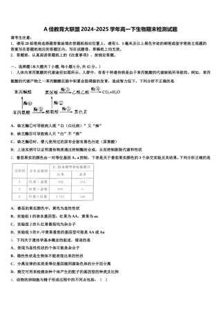 A佳教育大联盟2024-2025学年高一下生物期末检测试题含解析