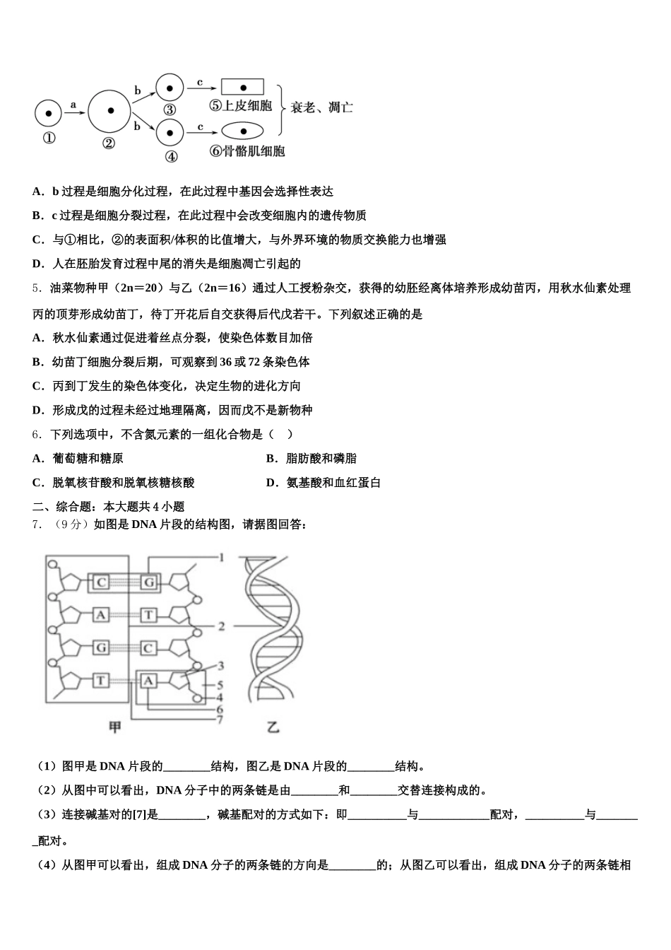 重庆市江津田家炳中学2024-2025学年高一生物第二学期期末达标测试试题含解析_第2页