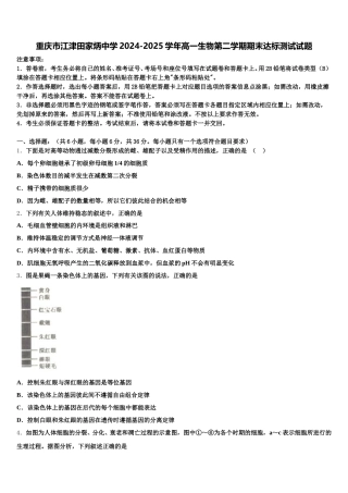 重庆市江津田家炳中学2024-2025学年高一生物第二学期期末达标测试试题含解析