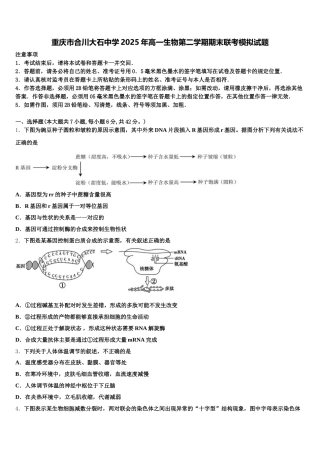 重庆市合川大石中学2025年高一生物第二学期期末联考模拟试题含解析