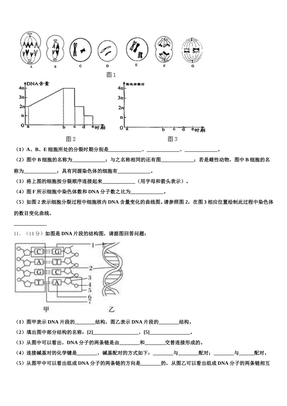 2025届重庆铜梁县一中生物高一下期末学业水平测试试题含解析_第3页