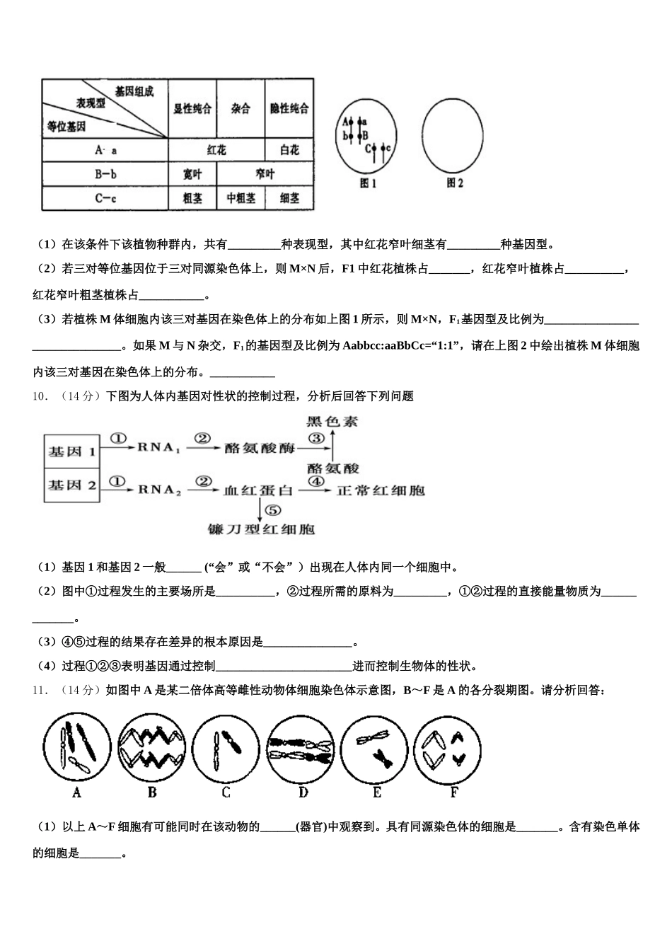 2024-2025学年重庆市万州第一中学高一生物第二学期期末质量检测试题含解析_第3页