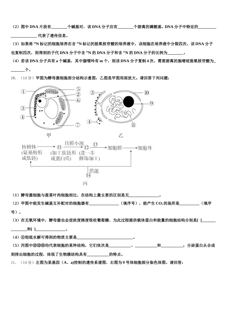 2025年重庆市巴南区高一下生物期末调研模拟试题含解析_第3页