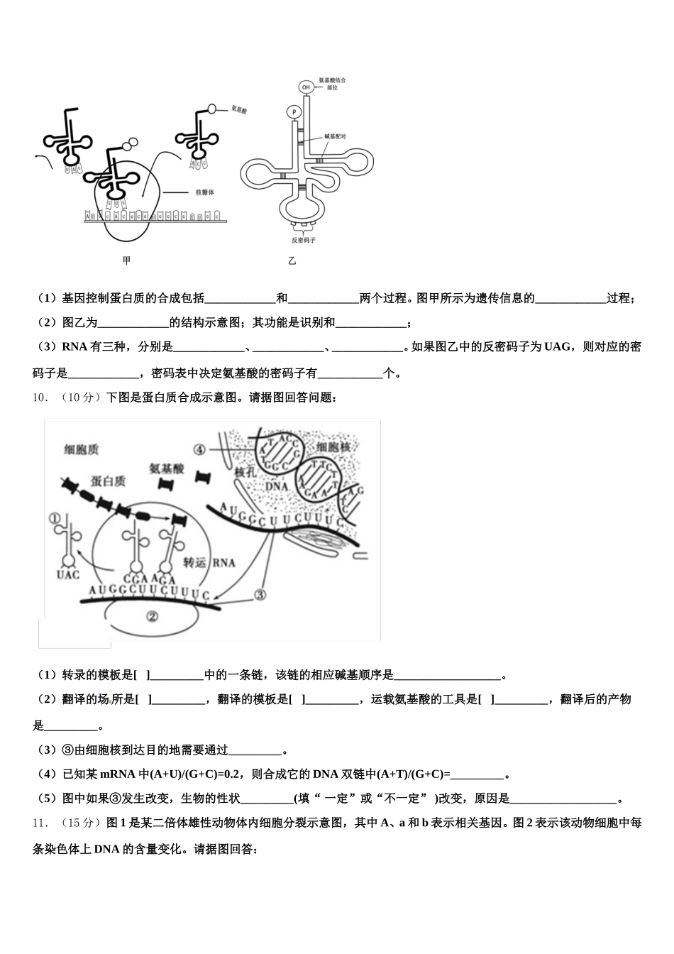 重庆市凤鸣山中学2024-2025学年高一下生物期末经典试题含解析_第3页