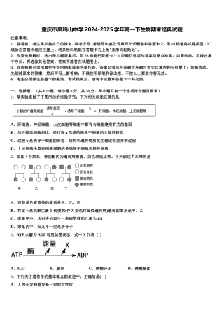 重庆市凤鸣山中学2024-2025学年高一下生物期末经典试题含解析