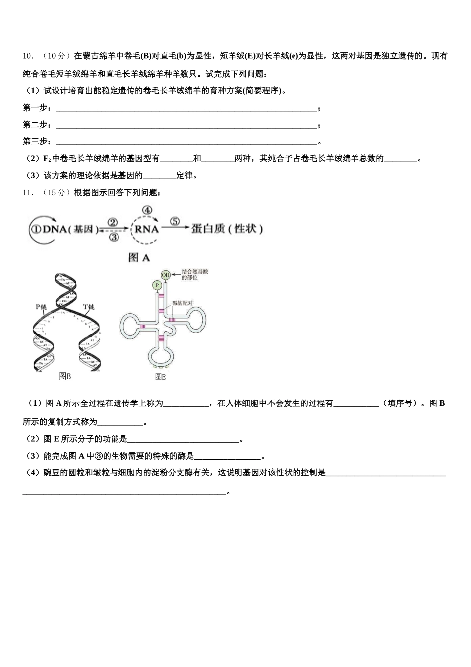 重庆市实验外国语学校2025届生物高一下期末质量跟踪监视试题含解析_第3页