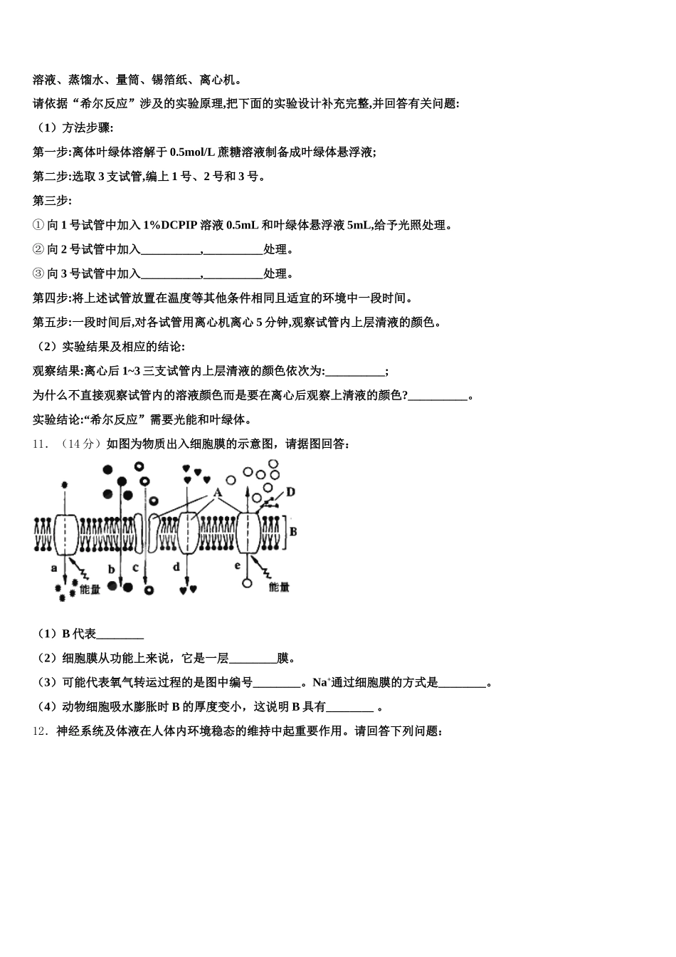 2024-2025学年重庆市珊瑚中学生物高一第二学期期末教学质量检测试题含解析_第3页