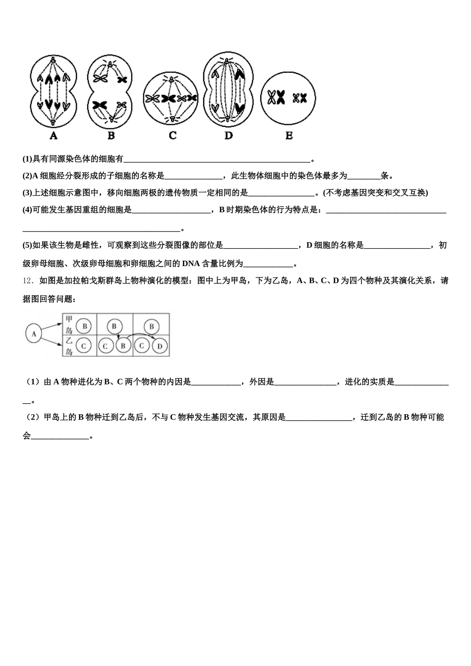 余江县第一中学2024-2025学年高一生物第二学期期末学业质量监测模拟试题含解析_第3页