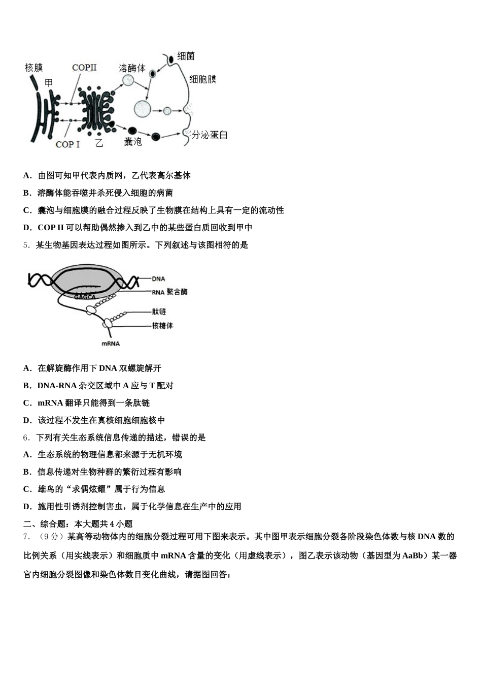 2025年重庆七中生物高一下期末经典模拟试题含解析_第2页