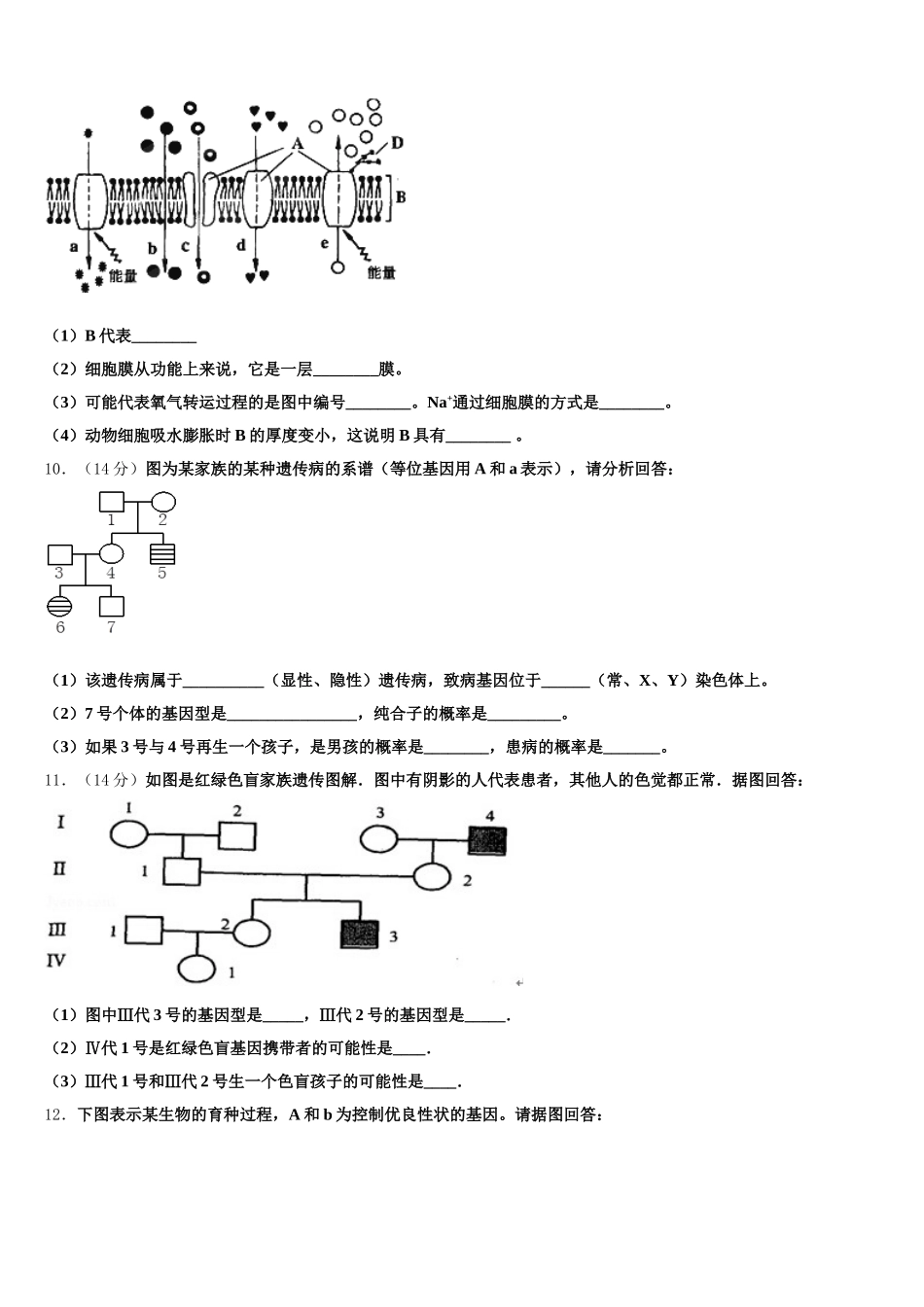 重庆市江津区高2024-2025学年高一生物第二学期期末经典试题含解析_第3页
