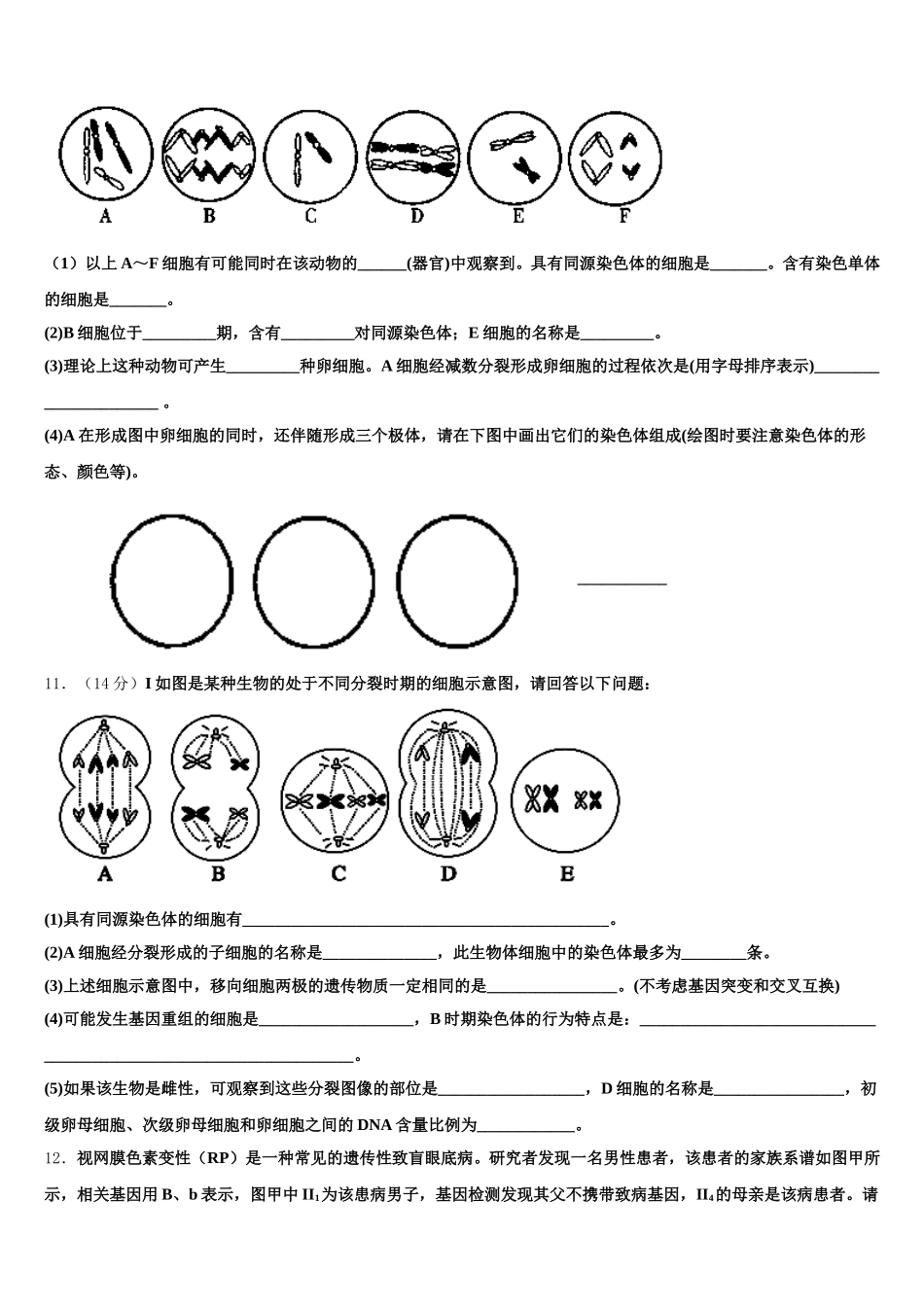 重庆市育才中学2025届生物高一第二学期期末学业质量监测模拟试题含解析_第3页