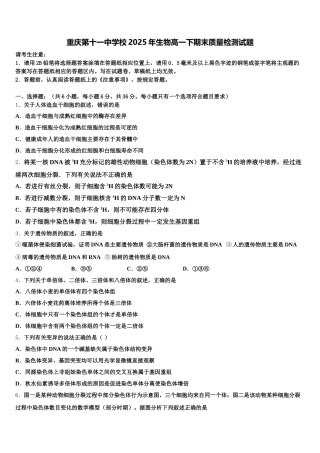 重庆第十一中学校2025年生物高一下期末质量检测试题含解析